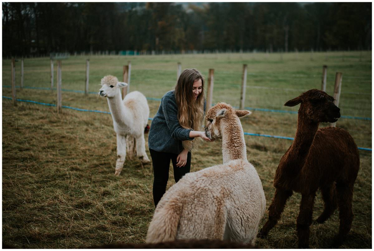 Edinburgh alpaca farm engagement photoshoot