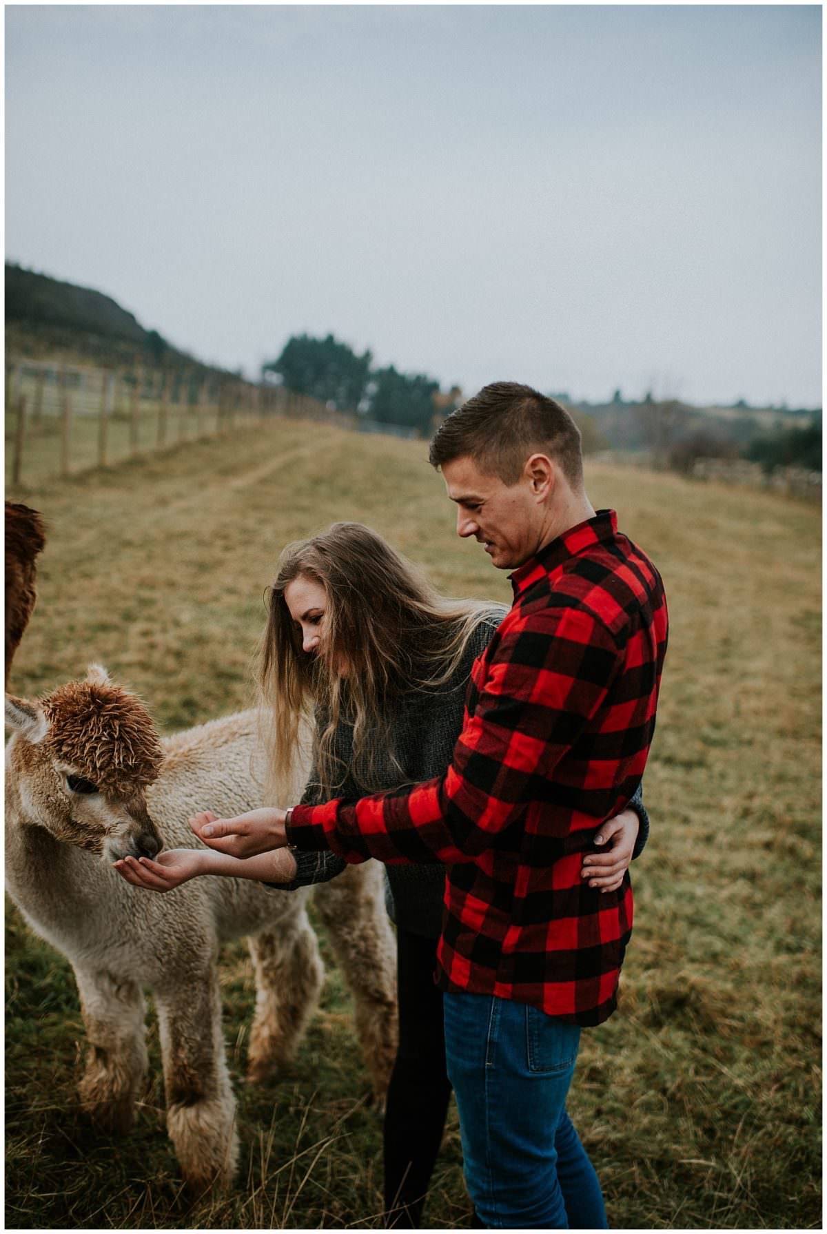 Scotland alpaca farm photoshoot - Edinburgh wedding photographer