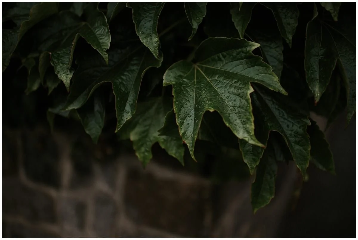 Peak District engagement photoshoot - Peak District photographer