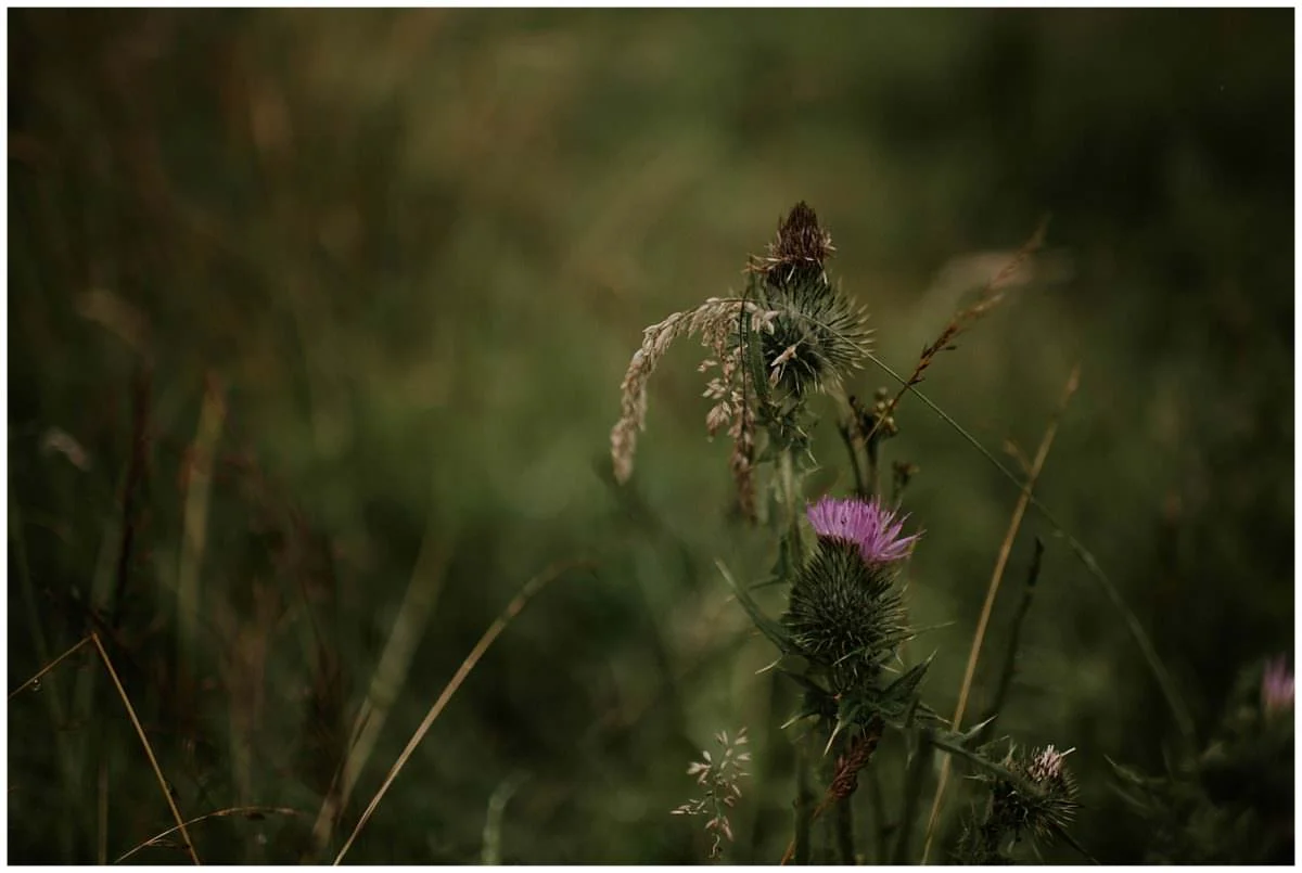 Peak District engagement photoshoot - Edinburgh photographer