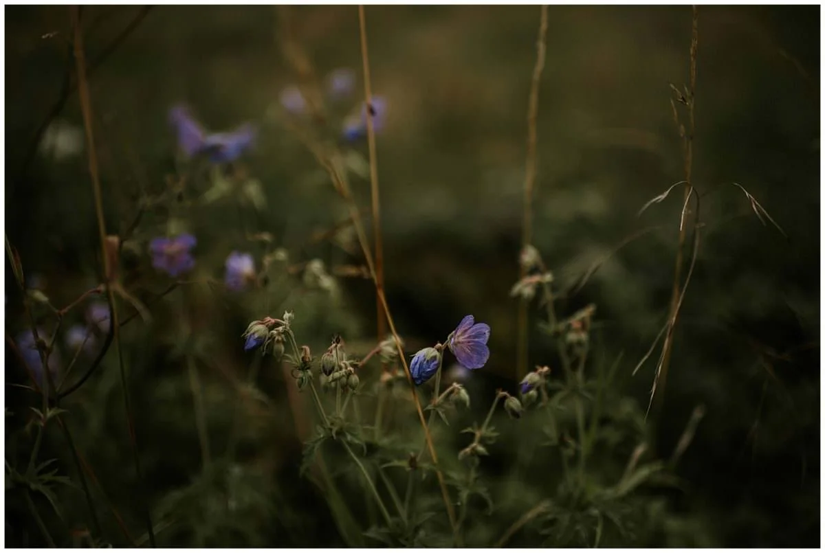 Peak District engagement photoshoot - Edinburgh photographer