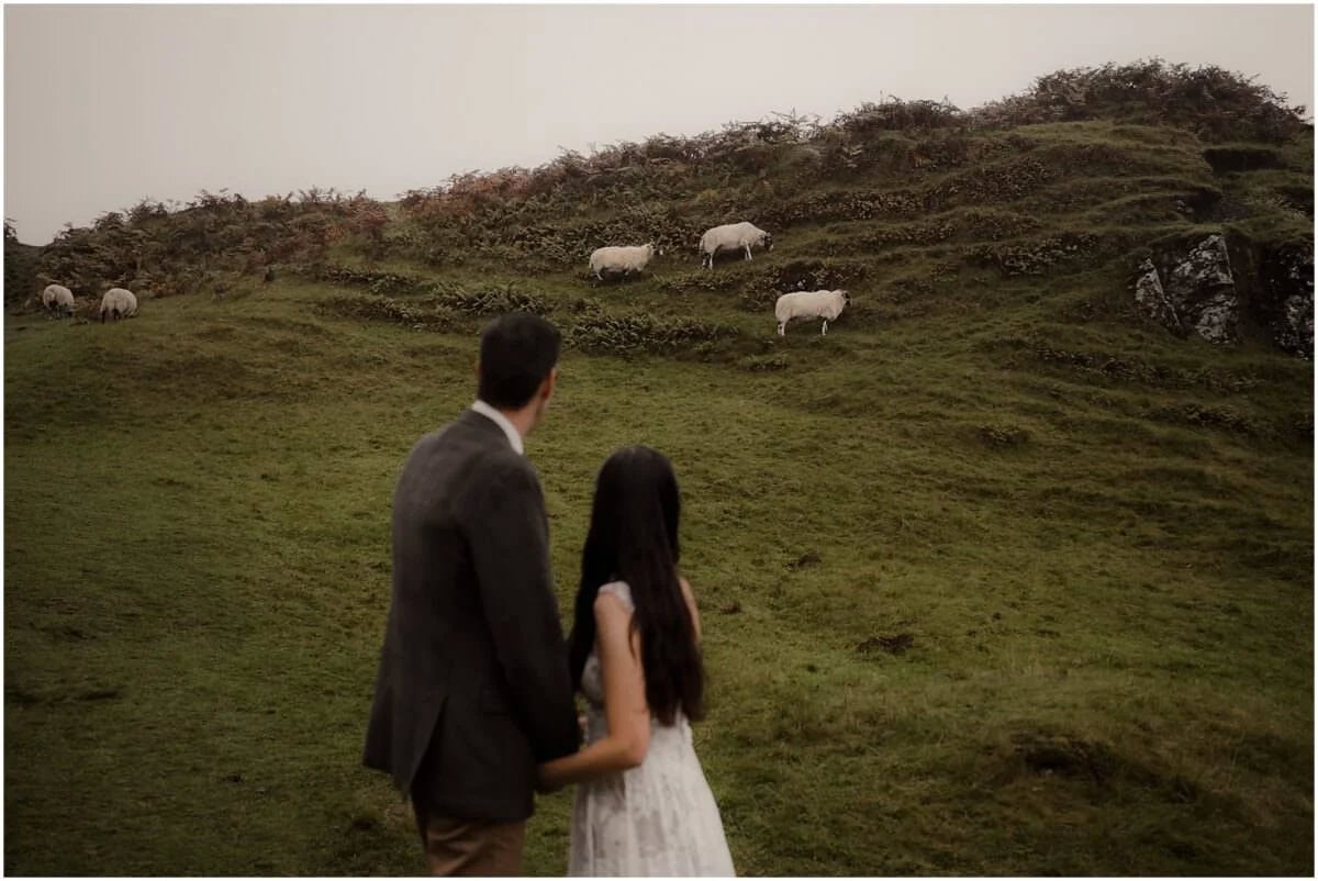 Couple standing hand in hand watching a flock of sheep graze on the hillside at Fairy Glen, Isle of Skye
