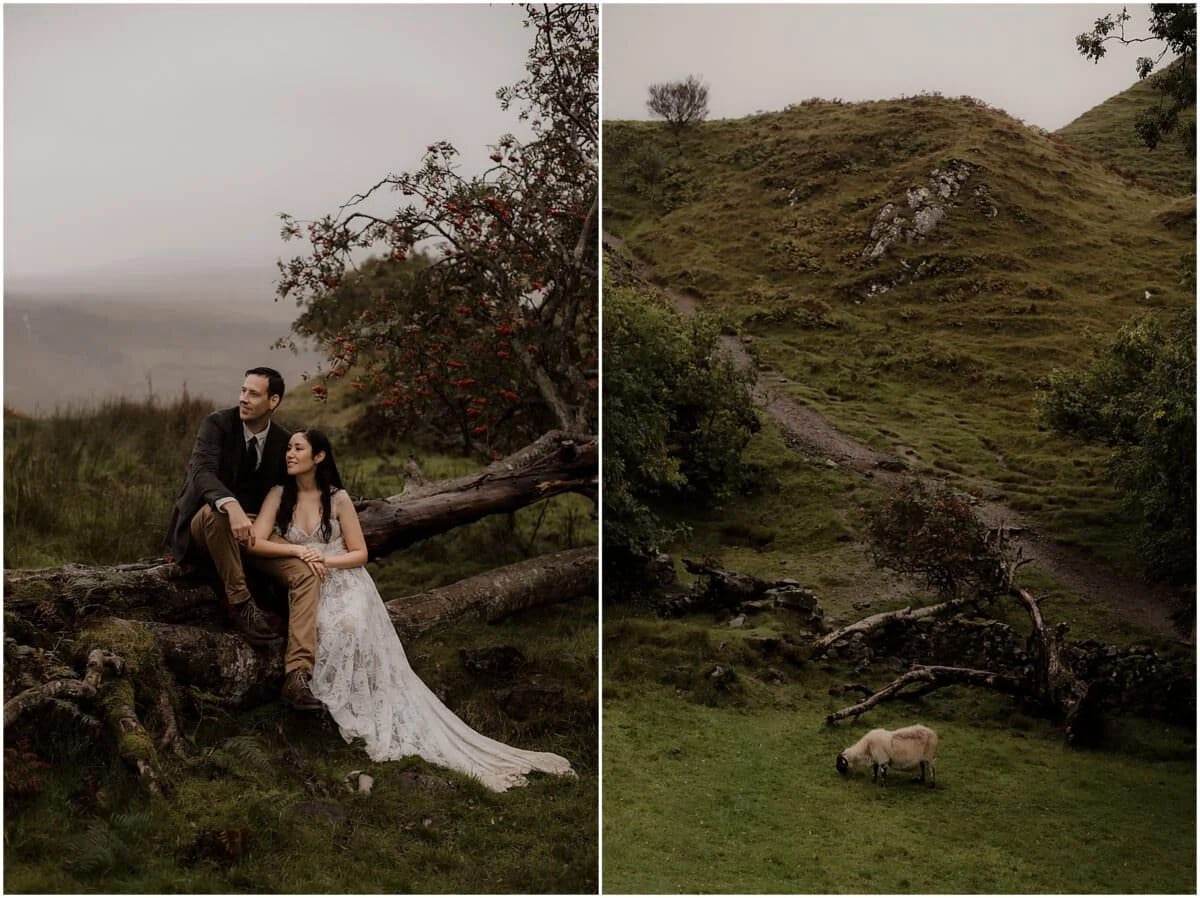 Couple resting on a fallen tree at Fairy Glen looking out over the misty landscape, with a lone sheep grazing on the hillside path behind them