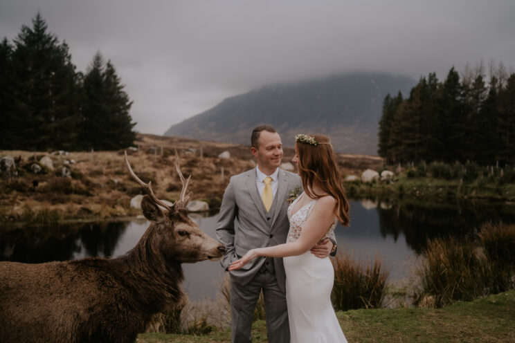 Glencoe elopement photos with deer - elopement photographer Scotland