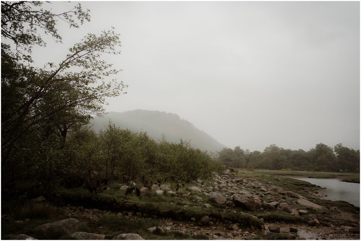 A mist-shrouded glen scene with a cluster of young birch and alder lining a stony riverbank