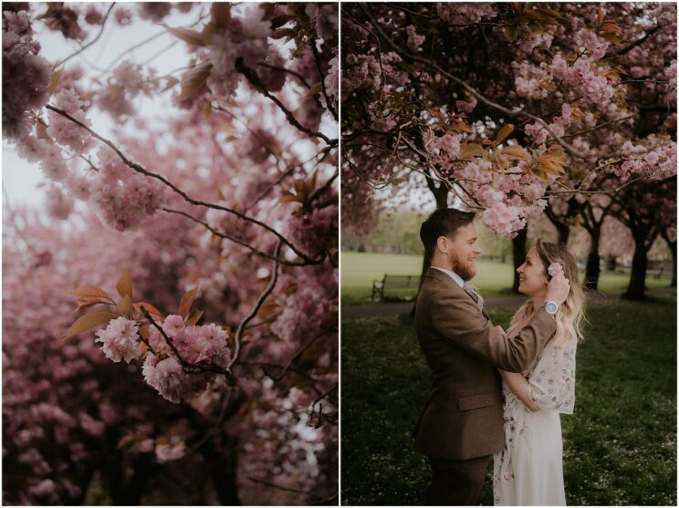 Edinburgh cherry blossom wedding photos at the Meadows - Edinburgh wedding photographer