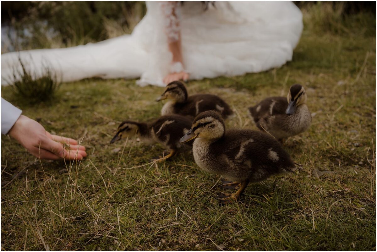 Glencoe wedding photos - Glencoe wedding photographer Bride and groom reaching towards little ducklings