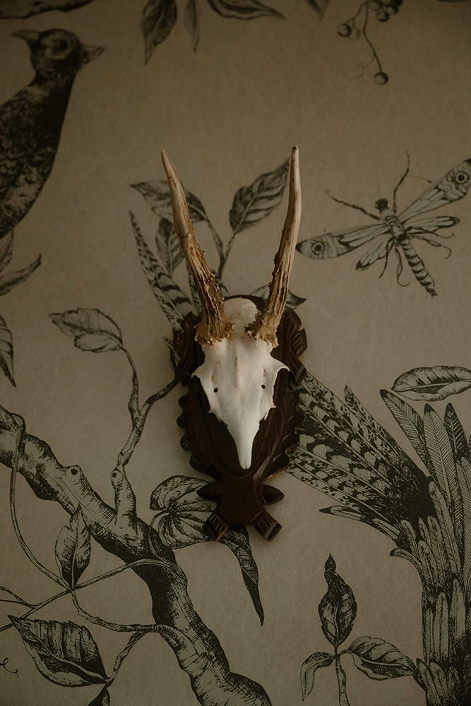 Isle of Skye Elopement Guide 2026/27 – plan your Scottish adventure wedding 27 Antique deer skull mount on botanical illustrated wallpaper inside Monkstadt 1745 hotel, Isle of Skye
