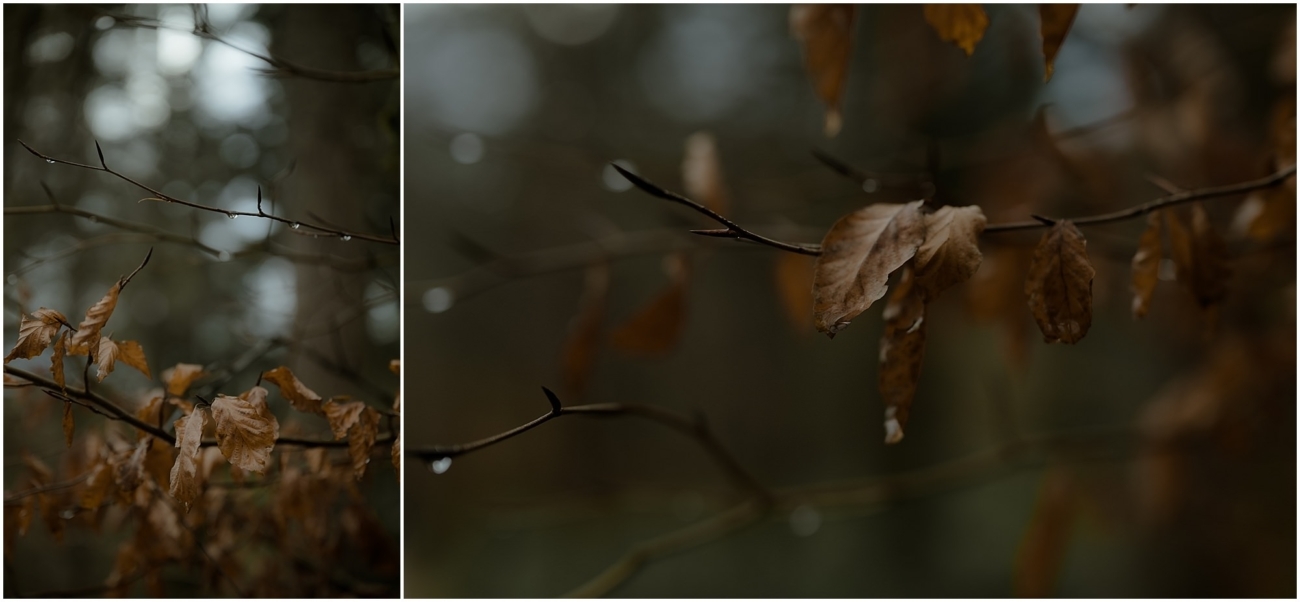Cosy & Intimate Wedding at Ferniehirst Castle in the Scottish Borders 2 Autumn leaves and branches on the grounds of Ferniehirst Castle in November
